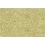 Ursus ELEFANTENHAUT 110G.70x100CM,CHAMOIS