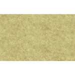 Ursus ELEFANTENHAUT 110G.50x70CM,CHAMOIS