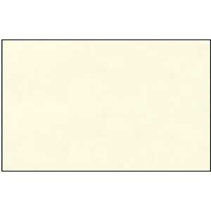 Ursus ELEF.HAUT 110G.DIN A3,10BL.WEISS