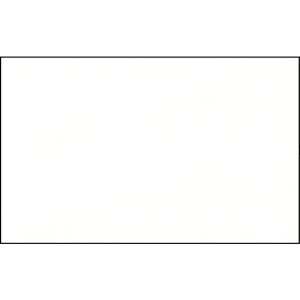 Ursus ELEF.HAUT 110G.DIN A3,10BL.HOCHWEISS