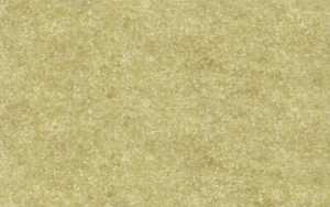 Ursus ELEF.HAUT 110G.DIN A4,10BL.CHAMOIS