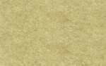 Ursus ELEF.HAUT 110G.DIN A4,10BL.CHAMOIS
