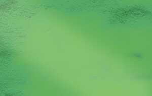 Ursus ALUFOLIE ROLLE 50CMx10M,GRÜN