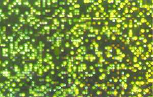 Ursus HOLOGRAMMFOLIE ROLLE 35x50CM,HELLGRÜN