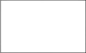 Ursus BLUMENS.20G.50x70CM,5BG.WEISS