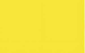 Ursus BLUMENS.20G.50x70CM,5BG.CITRONENGELB