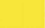 Ursus BLUMENS.20G.50x70CM,5BG.CITRONENGELB