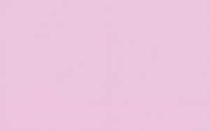 Ursus BLUMENS.20G.50x70CM,5BG.ROSA
