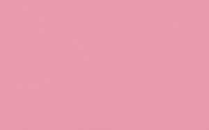 Ursus BLUMENS.20G.50x70CM,5BG.FLAMINGO