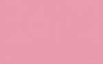 Ursus BLUMENS.20G.50x70CM,5BG.FLAMINGO