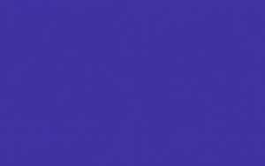 Ursus BLUMENS.20G.50x70CM,5BG.DUNKELBLAU