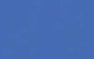 Ursus BLUMENS.20G.50x70CM,5BG.CALIF.BLAU