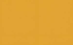 Ursus BLUMENS.20G.50x70CM,5BG.ORANGE