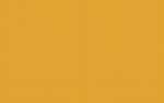 Ursus BLUMENS.20G.50x70CM,5BG.ORANGE