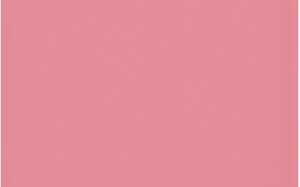 Ursus BLUMENS.20G.50x70CM,5BG.LACHS