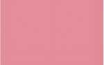 Ursus BLUMENS.20G.50x70CM,5BG.LACHS