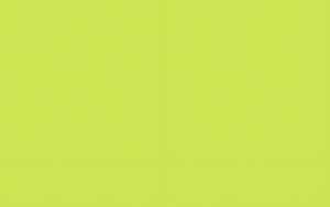 Ursus BLUMENS.20G.50x70CM,5BG.LINDGRÜN