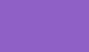 Ursus BLUMENS.20G.50x70CM,5BG.LILA