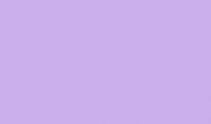 Ursus BLUMENS.20G.50x70CM,5BG.FLIEDER