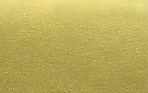 Ursus BLUMENS.20G.50x70CM,5BG.GOLD