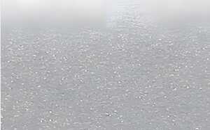 Ursus BLUMENS.20G.50x70CM,5BG.SILBER