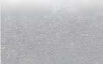 Ursus BLUMENS.20G.50x70CM,5BG.SILBER