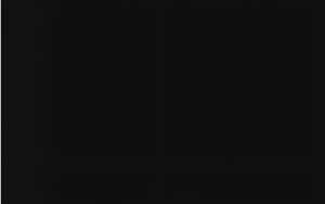 Ursus BLUMENS.20G.50x70CM,5BG.SCHWARZ