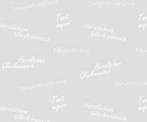 Ursus TRANSP.PAPIER "WHITE LINE"115G.A4,5BL. 4008525683735