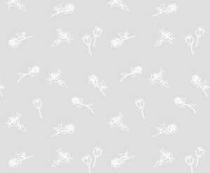 Ursus TRANSP.PAPIER "WHITE LINE"115G.A4,5BL. 4008525683810
