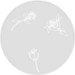 Ursus TRANSP.PAPIER "WHITE LINE"115G.A4,5BL....