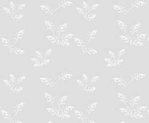 Ursus TRANSP.PAPIER "WHITE LINE"115G.A4,5BL. 4008525683841