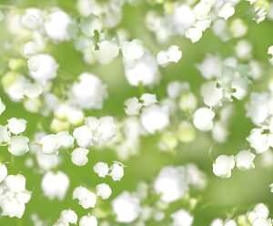 Ursus TRANSP.PAPIER "FLORA"115G.A4,5BL.MOT.05