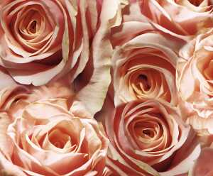 Ursus TRANSP.PAPIER "FLORA"115G.A4,5BL.MOT.07