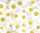 Ursus TRANSP.PAPIER "FLORA"115G.A4,5BL.MOT.08