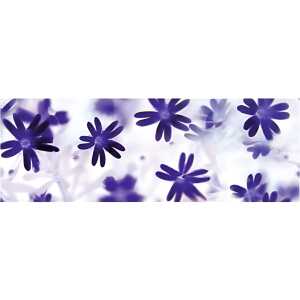 Ursus TRANSP.PAPIER "FLORA"115G.A4,25BL.MOT.02