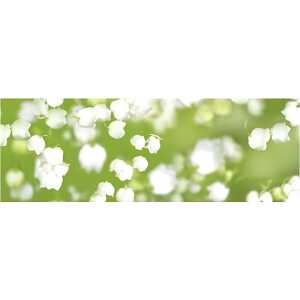 Ursus TRANSP.PAPIER "FLORA"115G.A4,25BL.MOT.05