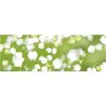 Ursus TRANSP.PAPIER "FLORA"115G.A4,25BL.MOT.05