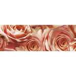 Ursus TRANSP.PAPIER "FLORA"115G.A4,25BL.MOT.07