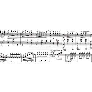 Ursus TRANSP.PAPIER "NOTEN"115G.A4,25BL.WEI/SCHW