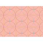 Ursus TRANSP.115G.DIN A4,25BL.ZIRKEL ROSA