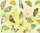 Ursus TRANSP.PAPIER "SCHMETTERLINGE"115G.A4,5BL.GELB
