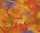 Ursus TRANSP.PAPIER "FAUNA"115G.A4,5BL.DRACHEN