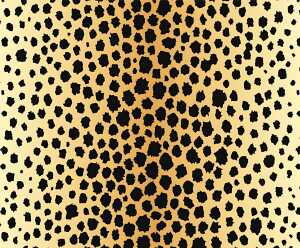Ursus TRANSP.PAPIER "TIERFELL"115G.A4,5BL.GEPARD