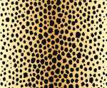 Ursus TRANSP.PAPIER "TIERFELL"115G.A4,5BL.GEPARD