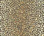 Ursus TRANSP.PAPIER "TIERFELL"115G.A4,5BL.LEOPARD