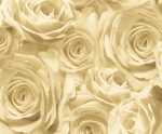 Ursus TRANSP.PAPIER "ROSEN"115G.A4,5BL.ANTIK