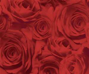 Ursus TRANSP.PAPIER "ROSEN"115G.A4,5BL.ROT