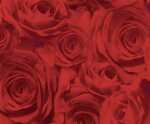 Ursus TRANSP.PAPIER "ROSEN"115G.A4,5BL.ROT