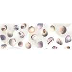 Ursus TRANSP.PAPIER "MARITIM"115G.A4,25BL.NAUTILUS