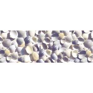 Ursus TRANSP.PAPIER "MARITIM"115G.A4,25BL.MUSCHELN